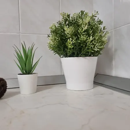 Apartament Center