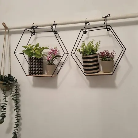 Apartament Center * Ruse