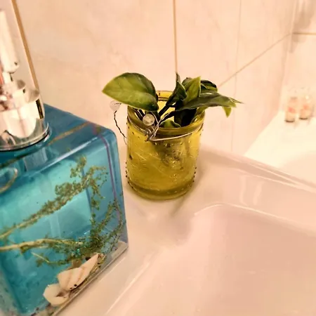 Apartament Center